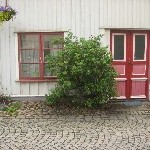 IMG_0366.jpg