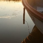 IMG_1152.jpg