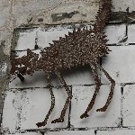 IMG_1220.jpg
