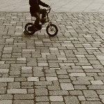 IMG_1364.jpg