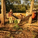 IMG_1513.jpg