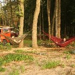 IMG_1553.jpg