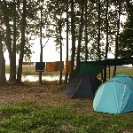 IMG_1557.jpg