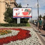 IMG_1651.jpg