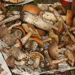IMG_1983.jpg