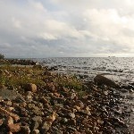 IMG_2018.jpg