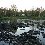 IMG_2072.jpg