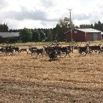 IMG_2088.jpg