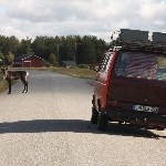 IMG_2096.jpg