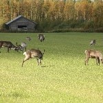 IMG_2103.jpg