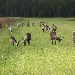 IMG_2106.jpg