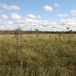 IMG_2107.jpg