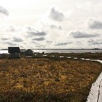 IMG_2115.jpg