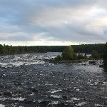 IMG_2155.jpg
