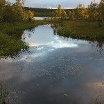 IMG_2162.jpg