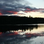IMG_2168.jpg