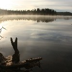 IMG_2278.jpg