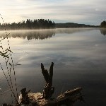 IMG_2279.jpg