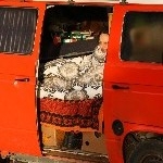 IMG_2284.jpg