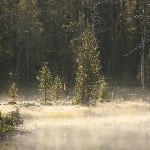 IMG_2299.jpg