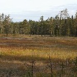 IMG_2313.jpg