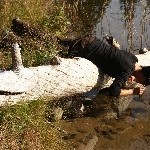 IMG_2318.jpg