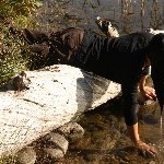 IMG_2321.jpg