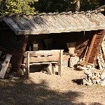 IMG_2342.jpg