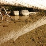 IMG_2356.jpg