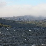 IMG_2366.jpg