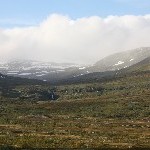 IMG_2382.jpg