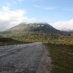 IMG_2384.jpg