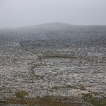 IMG_2388.jpg
