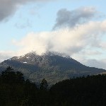 IMG_2389.jpg