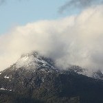 IMG_2393.jpg