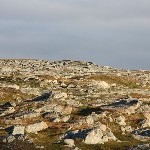IMG_2398.jpg