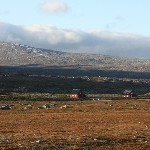 IMG_2402.jpg