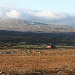 IMG_2408.jpg