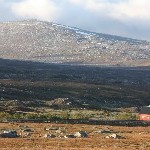 IMG_2411.jpg