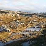 IMG_2412.jpg