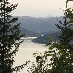 IMG_2445.jpg