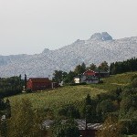 IMG_2459.jpg