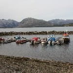 IMG_2480.jpg
