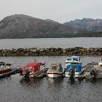 IMG_2481.jpg