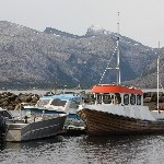 IMG_2490.jpg