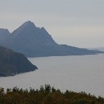 IMG_2495.jpg