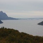 IMG_2499.jpg