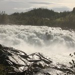 IMG_2570.jpg