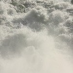 IMG_2572.jpg