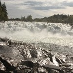 IMG_2580.jpg